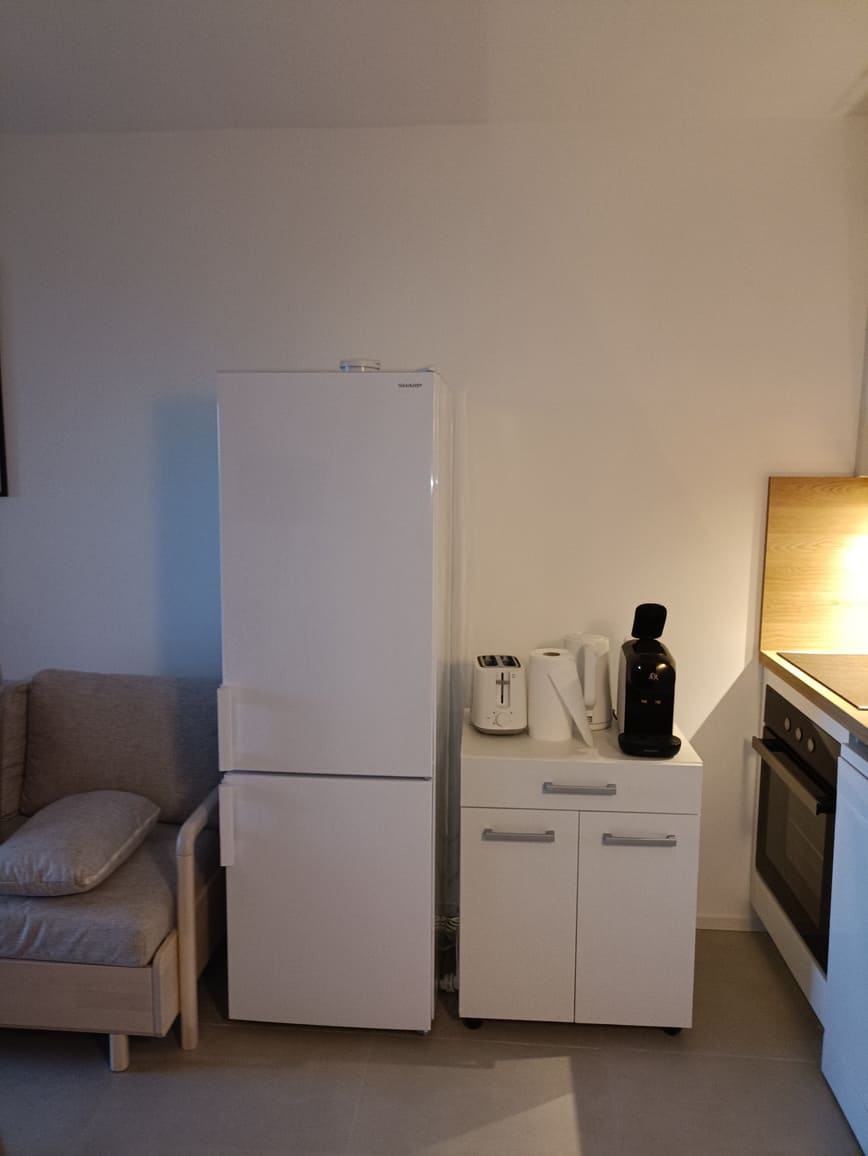 Cuisine de l'appartement avec un frigo, un four et des meubles de rangement - Appartement Le 308 Corse Pianottolli