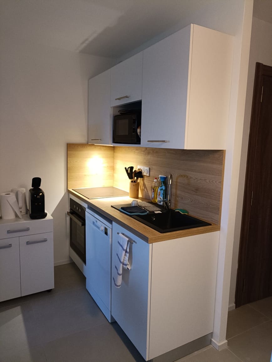 Cuisine avec un évier, un four, un lave-vaisselle et des rangements - Appartement Le 308 Corse Pianottolli
