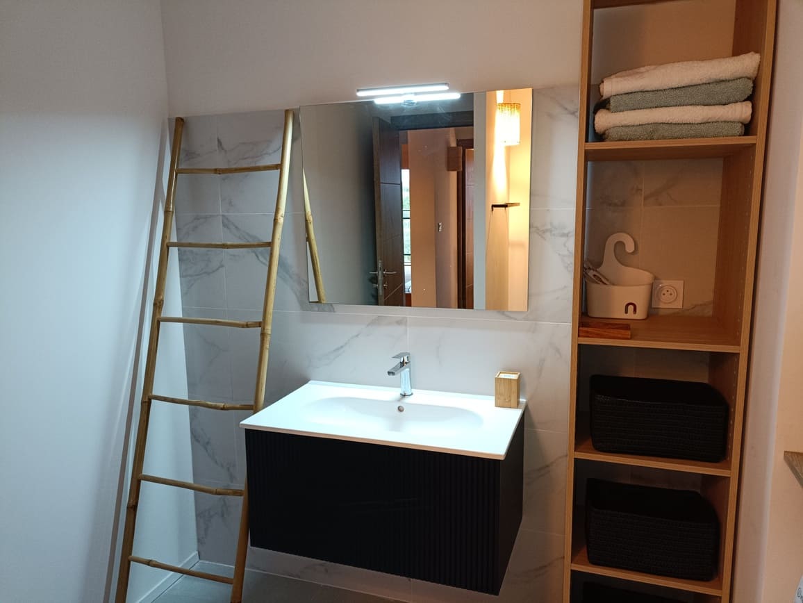 Salle de bain avec un lavabo et une étagère - Appartement Le 308 Corse Pianottolli